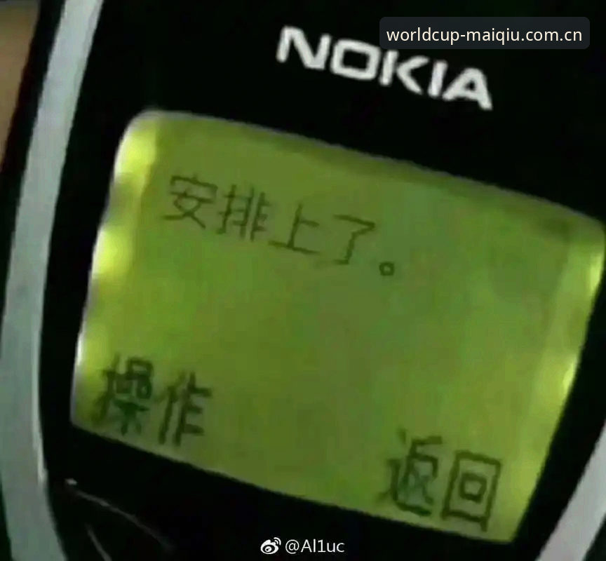 世界杯买球APP旧版vs新版：2025投注平台更新对比，哪个更适合你？