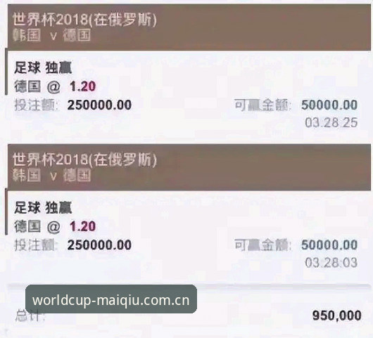 世界杯买球平台必备知识：2025新版APP下载安装实用指南